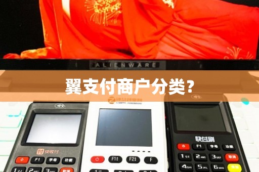 翼支付商户分类解析 移动电信业务代理的定位与特点